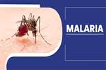 با بیماری مالاریا و علایم آن آشنا شویم