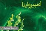 افزایش موارد مسمومیت کبدی با اسپیرولینا؛ زنگ خطر برای مصرف‌کنندگان
