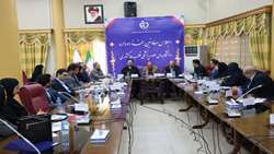 اجلاس معاونین غذا و دارو دانشگاه ها و دانشکده های علوم پزشکی قطب پنج کشور به میزبانی بندرعباس برگزار شد