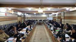 اهمیت آگاهی بخشی درباره تب دِنگی در سایه تغییرات اقلیمی