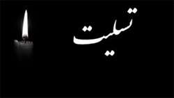 پیام تسلیت معاون بهداشت دانشگاه علوم پزشکی شیراز به مناسبت درگذشت همکار شاغل در مرکز خدمات جامع سلامت سروستان شهرستان بوانات