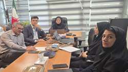 نشست مجازی معاونت بین‌الملل دانشگاه علوم پزشکی شیراز با کارگزاران منتخب منطقه برای توسعه جذب دانشجویان بین‌الملل برگزار شد