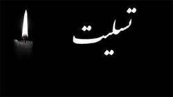 پیام تسلیت معاون درمان و مدیر پرستاری دانشگاه علوم پزشکی شیراز در پی درگذشت پرستار جوان بیمارستان نمازی