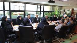 نشست بررسی راهکارهای ارتقای خدمات توانبخشی به بیماران دچار سکته مغزی در شیراز برگزار شد