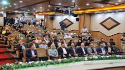 دکتر هاشمی: سالمندان، سرمایه اجتماعی و گنجینه تجربه نسل‌ها هستند