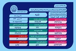 وضعیت وخیم 96 بیمار مبتلا به کروناویروس در بخش های ICU بیمارستان های استان فارس