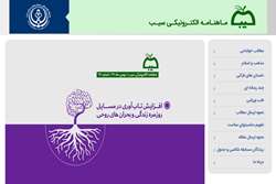 تببین راهکارهای افزایش تاب آوری در مسایل روزمره زندگی و بحران های روحی