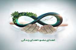 اهدای اعضای بدن بانوی فیروزآبادی به بیماران نیازمند پیوند عضو