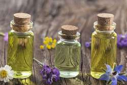 عطر طبیعت در خدمت داروسازی(ترپنوئیدها و اسانس‌ها)