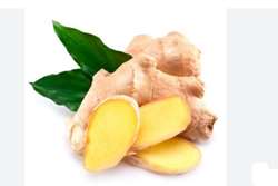 زنجبیل؛ طلای پاییز برای سلامت و انرژی
