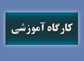 کارگاه آموزشی جستجوی مقالات و شواهد وارد شده در مقالات مرور ثانویه و بررسی وضعیت آلتمتریکس مقالات منتشر شده