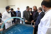 بازدید رئیس دانشگاه علوم پزشکی شیراز از خط تولید ماده ضدعفونی دست در دانشکده داروسازی و کارخانه های تولید ماسک/ تولید روزانه 2 هزار لیتر محلول ضدعفونی و توانمندی به افزایش 10 برابری