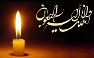 پیام تبریک و تسلیت رئیس دانشگاه علوم پزشکی شیراز در پی شهادت شهید «سعید رضایی»