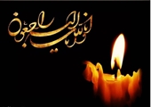 پیام تبریک و تسلیت رییس دانشگاه علوم پزشکی شیراز در پی شهادت دکتر ذکری
