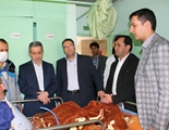بررسی خدمات بیمارستان حضرت ولیعصر(عج) لامرد با حضور معاون درمان وزارت بهداشت