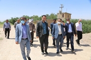 بازرسی مشترک از مزارع مرودشت با هدف نظارت بر نحوه آبیاری و وضعیت بهداشتی کانال انتقال فاضلاب
