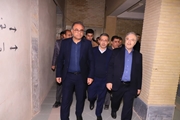 وزیر بهداشت وارد استان فارس شد