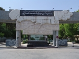 انجام موفقیت آمیز یکی از پیچیده ترین اعمال جراحی عروق در بیمارستان نمازی شیراز توسط عضو هیات علمی دانشگاه علوم پزشکی شیراز