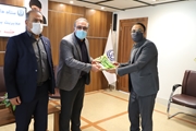تقدیر شهرداران مناطق مختلف شیراز از تلاش های مدافعان سلامت/تاکید بر نقش مهم شهرداری شیراز در مدیریت بهتر برنامه های مقابله با کرونا ویروس