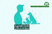 نود و سومین شماره از ماهنامه الکترونیکی «سیب» برخط شد