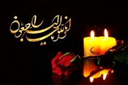 پیام تسلیت رییس دانشگاه علوم پزشکی شیراز به مناسبت درگذشت دکتر «سیروس ارشدی»