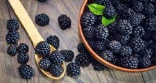 تاثیر توت سیاه در بیماری های قلبی و عروقی