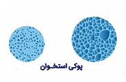 توصیه هایی برای مراقبت از سالمندان در برابر خطر سقوط و شکستگی ناشی از پوکی استخوان