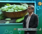 «سبک زندگی سالم و مصرف سبزیجات و میوه های بهاری (بخش دوم)» از زبان دکتر «امیرمحمد جلادت» متخصص طب سنتی ایرانی و عضو هیات علمی دانشگاه علوم پزشکی شیراز
