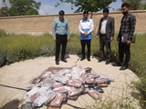 کشف و معدوم سازی 100 کیلوگرم گوشت و مرغ تاریخ گذشته در کوار