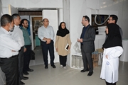    نخستین مرکز تصویربرداری حیوانات آزمایشگاهی جنوب کشور در شیراز راه‌اندازی می شود