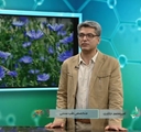  «گیاهان دارویی فصل بهار و سبک زندگی سالم/کاسنی» از زبان دکتر «امیرمحمد جلادت» دکترای تخصصی طب سنتی ایرانی و عضو هیات علمی دانشگاه علوم پزشکی شیراز