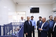 پایش خدمات درمانی و توانبخشی در مرکز خیریه نرجس شیراز
