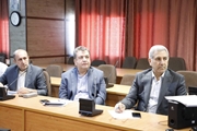 سی‌امین نشست فرهنگستان علوم پزشکی جنوب کشور برگزار شد