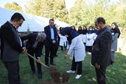 آیین کاشت نهال در مرکز آموزشی درمانی خلیلی شیراز