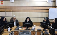 نشست مشاور وزیر بهداشت در امور بانوان با کارشناسان حوزه جوانی جمعیت دانشگاه علوم پزشکی شیراز برگزار شد