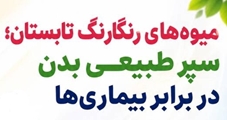 میوه های رنگارنگ تابستان، سپر طبیعی بدن در برابر بیماری ها