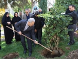 کاشت 2 اصله نهال در دانشگاه علوم پزشکی شیراز