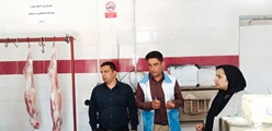 توقیف ۱۴/۵ کیلوگرم گوشت غیرمجاز در عملیات نظارتی مشترک در شهرستان بختگان