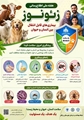  زئونوز؛ بیماری‌هایی که سلامت انسان و حیوان را به هم پیوند می‌دهند 