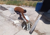  معدوم‌سازی ۳۵۰ کیلوگرم شیر فاسد در بازرسی از کارگاه لبنیات سنتی در مرودشت