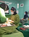 تولد موفق نوزادان دوقلو در هفته ۳۰ بارداری در بیمارستان شهدای سلامت نی ریز 