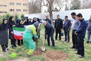 کاشت «نهال سرو ایران» در مرکز آموزشی درمانی خلیلی با حضور رئیس دانشگاه علوم پزشکی شیراز