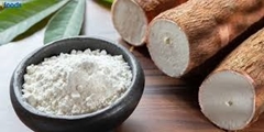 نشاسته اصلاح شده: کاربردها و مزایای آن در صنایع غذایی