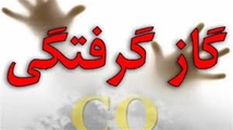 نکات ایمنی برای در امان ماندن از خطر گاز گرفتگی