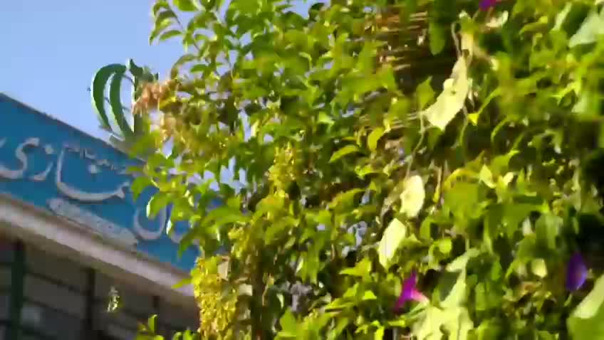 بازدید رییس دانشگاه علوم پزشکی شیراز از طرح های عمرانی در حال ساخت بیمارستان نمازی